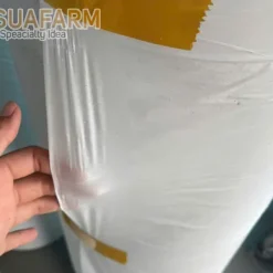 Nilon Lót Sàn Đổ Bê Tông LDPE